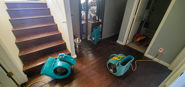 Best Water damage restoration near me  in Maeser, UT