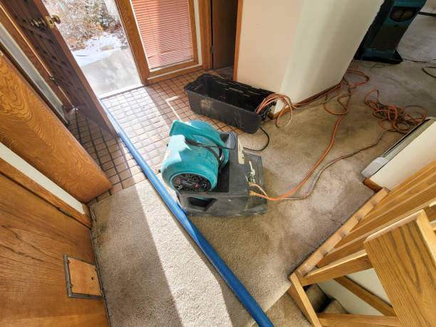 Best Flood damage cleanup  in Maeser, UT