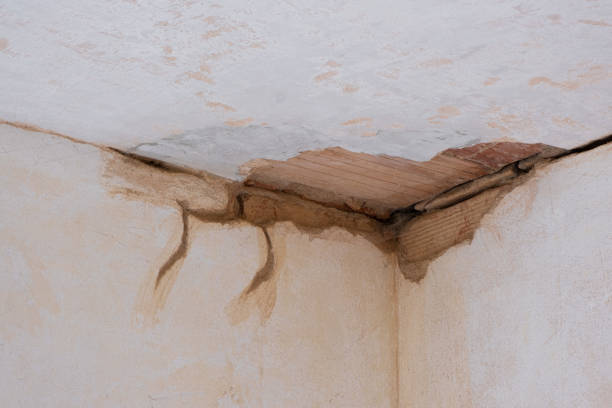Best Water damage restoration near me  in Maeser, UT