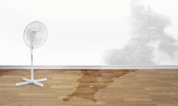 Best Local water damage restoration  in Maeser, UT