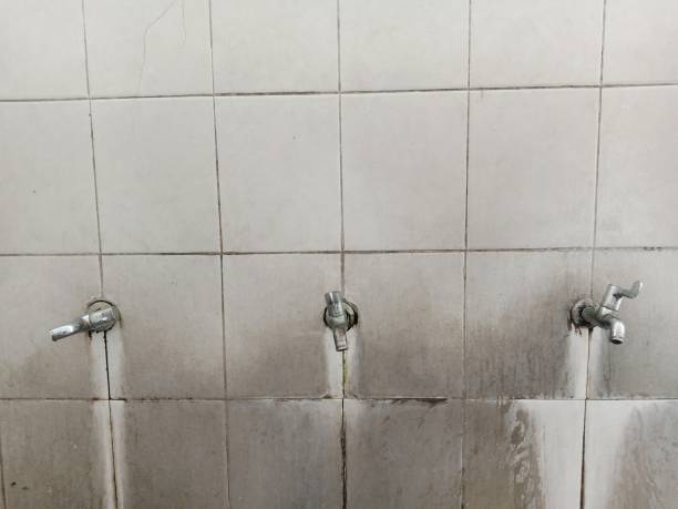 Best Mold removal after water damage  in Maeser, UT
