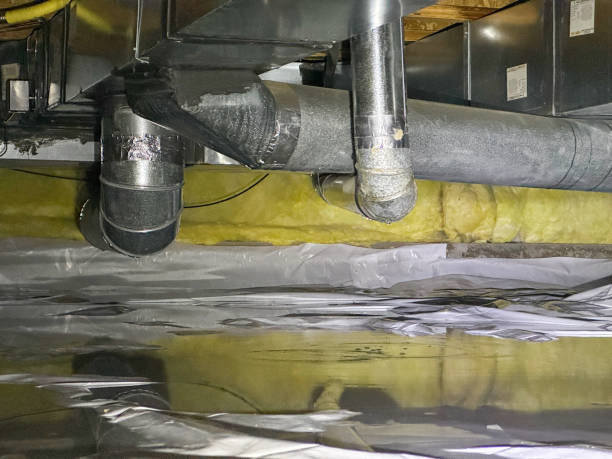 Best Basement water damage restoration  in Maeser, UT