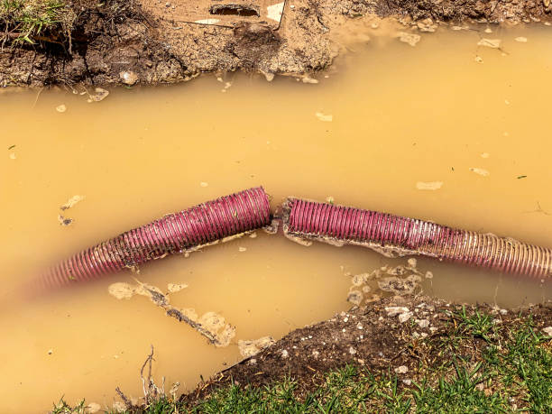 Best Emergency water damage restoration  in Maeser, UT