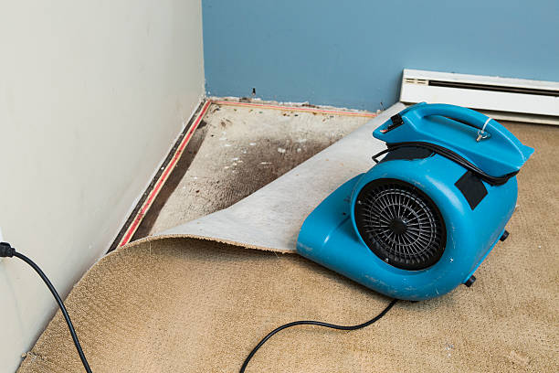 Best 24-hour water damage restoration  in Maeser, UT